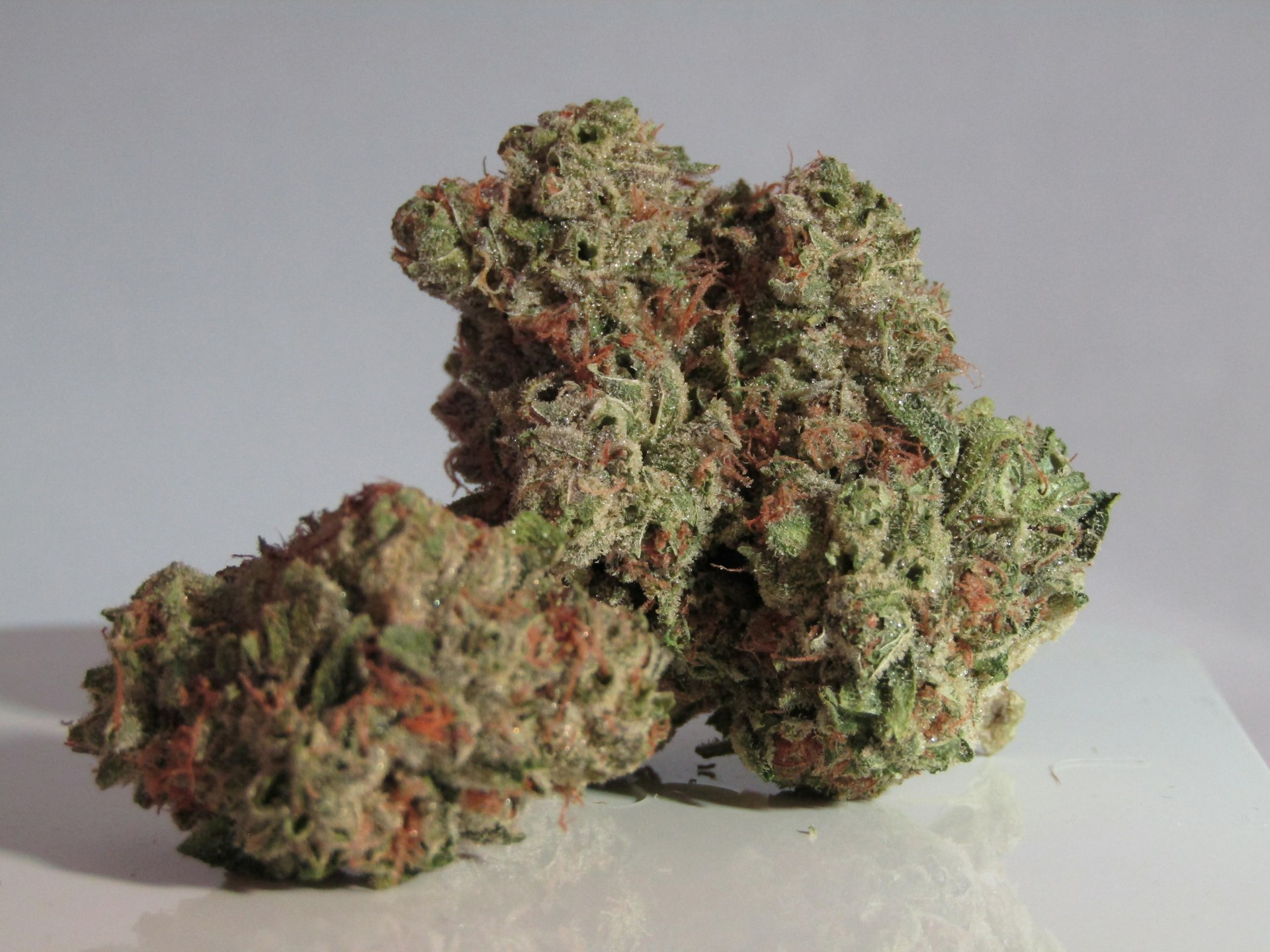 Real green and brown cannabis kush buds on a clean background